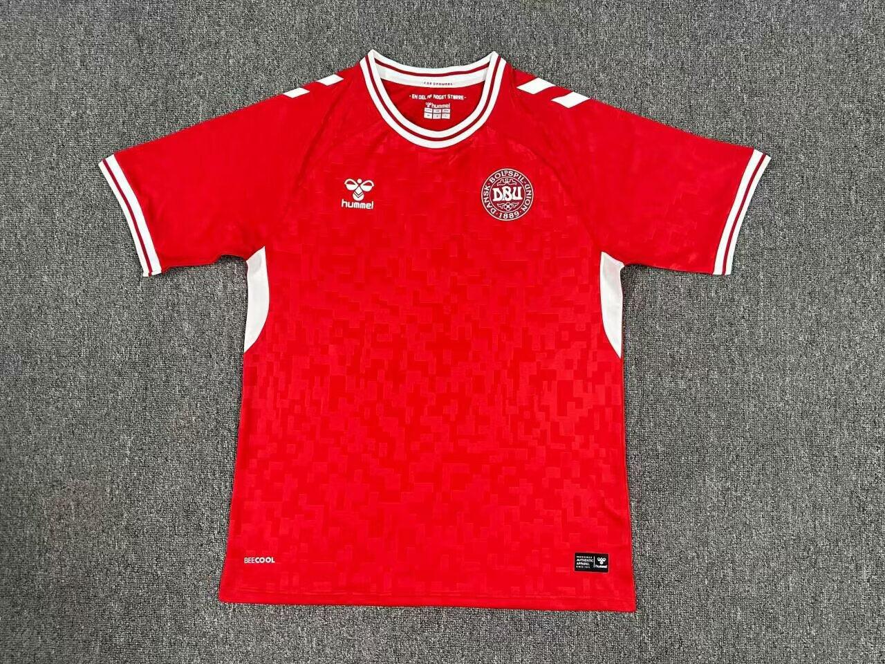 Camisola Principal Dinamarca 2024