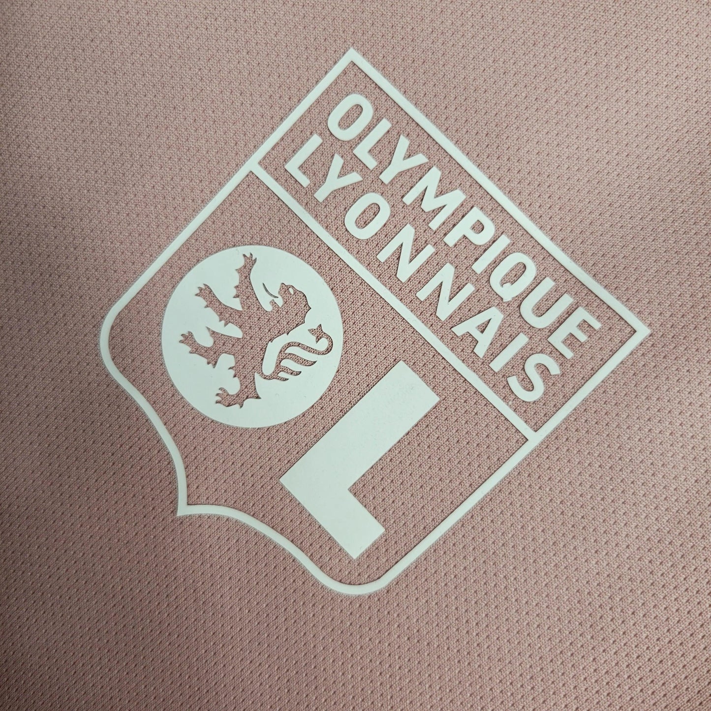 Camisola de Treino Lyon 2023/24