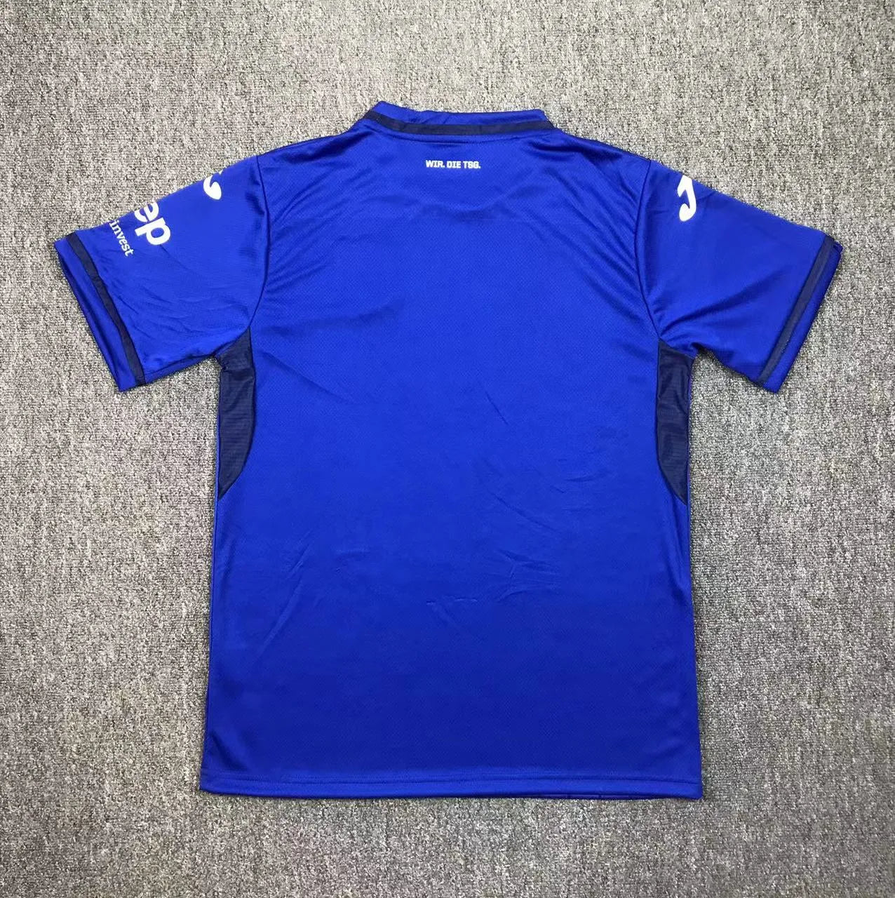 Camisola Principal Hoffenheim 2024/25