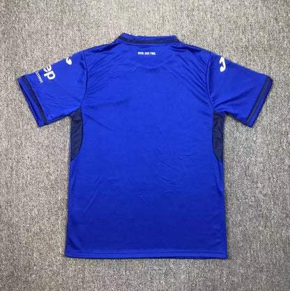 Camisola Principal Hoffenheim 2024/25